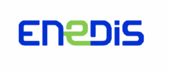 ENEDIS - Visite aérienne pour contrôle des lignes