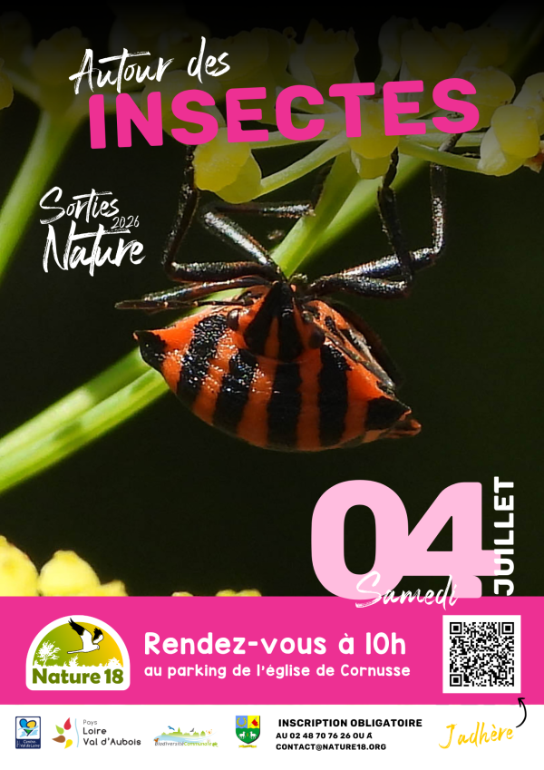 AUTOUR DES INSECTES